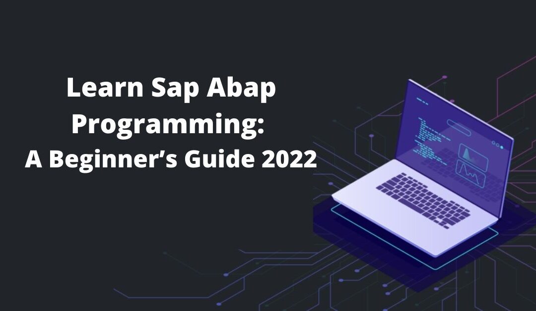 Learn Sap Abap Programming: A Beginner’s Guide 2022